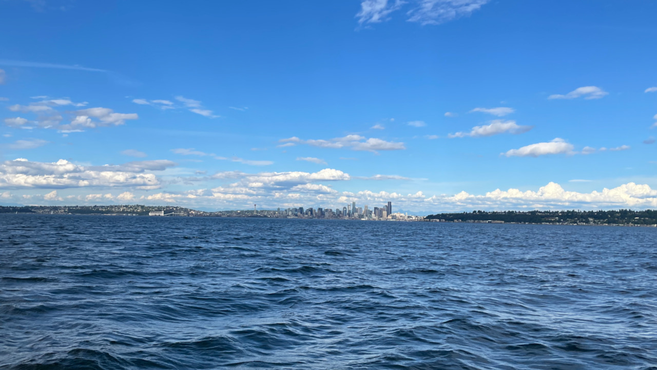 seattle from the water